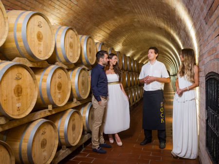 Bock Cellar - All our guests are given a free tour of our cellar.