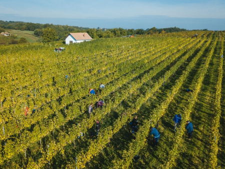 Bock Winery - Estate.